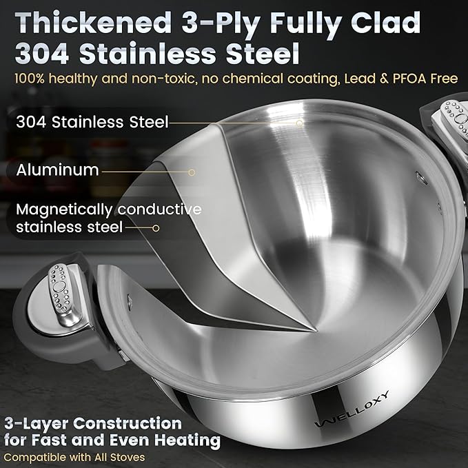 WELLOXY Stainless Steel Pot - Image 5